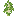 Muda de bétula