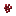 Fungo do Nether